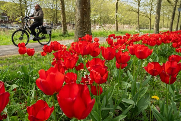 Medium property photo - Ubachsberg 29, 3453 PV De Meern